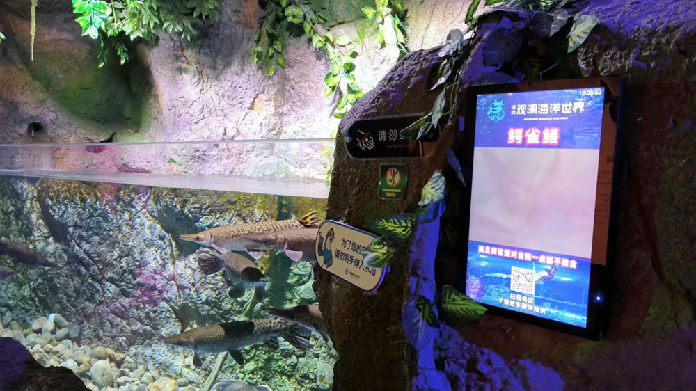 海洋展览馆壁挂式数字标牌应用案例