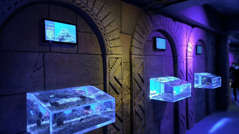 壁挂式液晶广告机在海洋生物展览展馆的应用